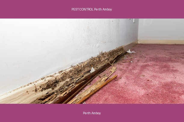 PEST CONTROL Perth Amboy